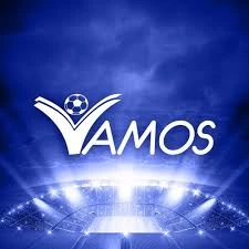 Vamos Bet gambling experience